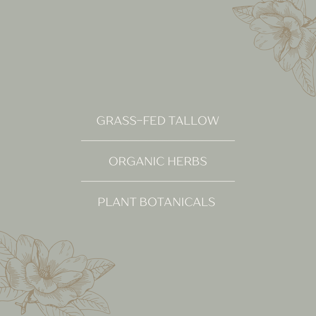 Wild Roots Tallow Co. - Vanilla Bean Infused Tallow Body Whip: 2oz